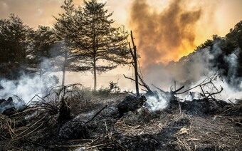 Оценка ущерба после стихийного бедствия в Оренбурге: отчет оценщика